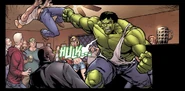 FuryandHulk