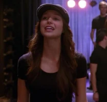 http://glee.wikia