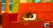 Taz Sleep