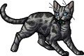 Jayfeather.mca