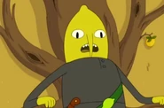 Lemongrabymm13