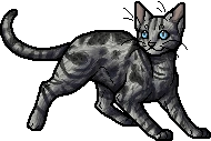 Jayfeather.apprentice
