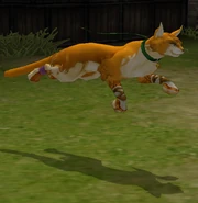 FE9 Cat Transformed (Lethe)