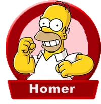 HomerSelection
