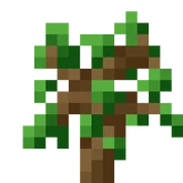 Sapling