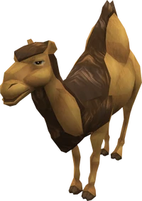 Cam the Camel