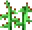 CoffeePlant