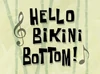 Hello Bikini Bottom