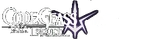 Codegeass answers wiki wordmark
