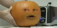 Pumpkin Counter