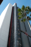Dsc5207