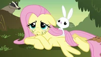 Fluttershy with grass on her face S2E22