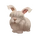 Angora Rabbit