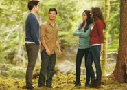 Older renesmee