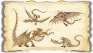 Dragons BOD Terror Gallery Image 04