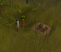 Catching a Broav