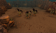 Cockatrices