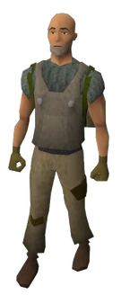 Catapult Engineer