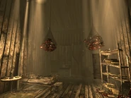 CS northeast shack int