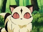 Avatar Kirara.png