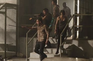 TWD GP 301 0509 0452