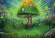 WildMushroomTCG