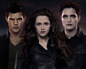 Twilight300