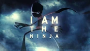 http://www.randycunningham9thgradeninja.wikia