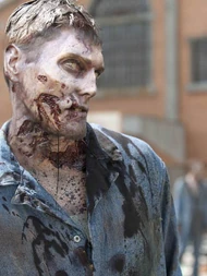 Walkers de la prision.jpg