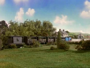 Cows3