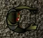 SAS Zombie 2