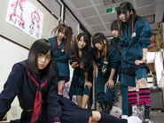 Maji 487