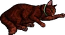 Russetfur.kittypet