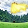 Images (27)
