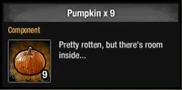 Pumpkin