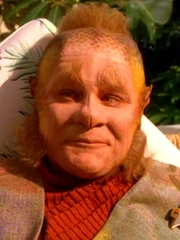 Neelix 2373