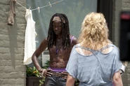 TWD-303-y