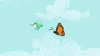 Hummingbird and butterfly S2E07