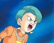 Bulma foto9