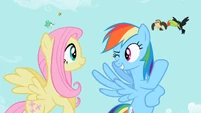 Rainbow Dash 'best of the litter' S2E07