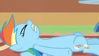 Rainbow Dash slammed onto the floor S2E21
