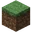 Grass
