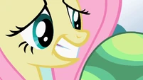 Fluttershy cute stare S2E7