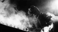 Large godzilla