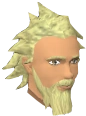 Leon d'Cour chathead