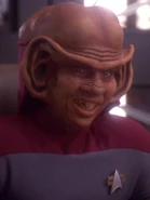 Nog 2373