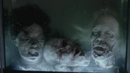 Cabezas