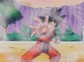 Dbz13-13