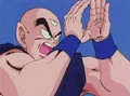 Dbz20-13