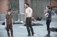 TWD GP 304 0615 0386